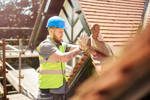 Best Roofing Contractor Near Me  in Toro Nyon, CA